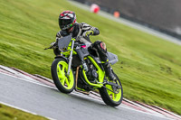 Oulton-Park-14th-March-2020;PJ-Motorsport-Photography-2020;anglesey;brands-hatch;cadwell-park;croft;donington-park;enduro-digital-images;event-digital-images;eventdigitalimages;mallory;no-limits;oulton-park;peter-wileman-photography;racing-digital-images;silverstone;snetterton;trackday-digital-images;trackday-photos;vmcc-banbury-run;welsh-2-day-enduro